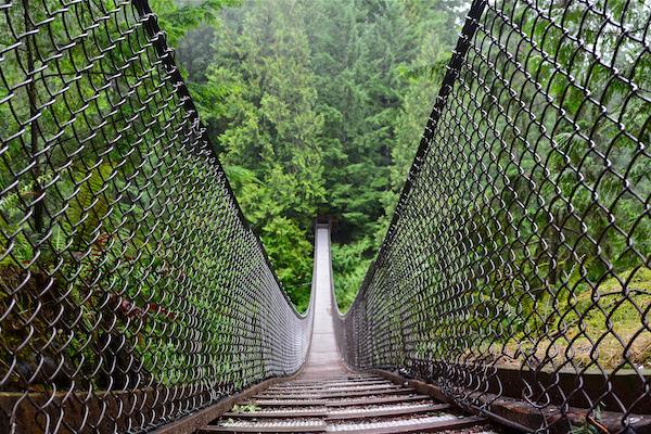 Suspension Bridge